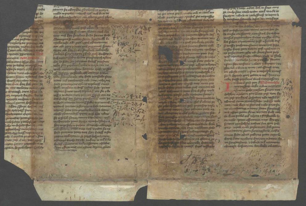Bibelfragment 15. Jahrhundert