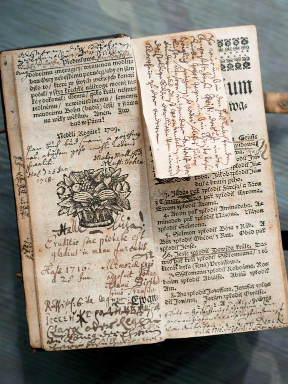 Neues Testament <tschech.>